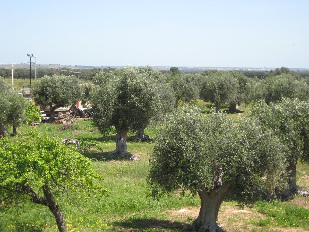 Il Sorriso B&B Pulsano Exterior photo